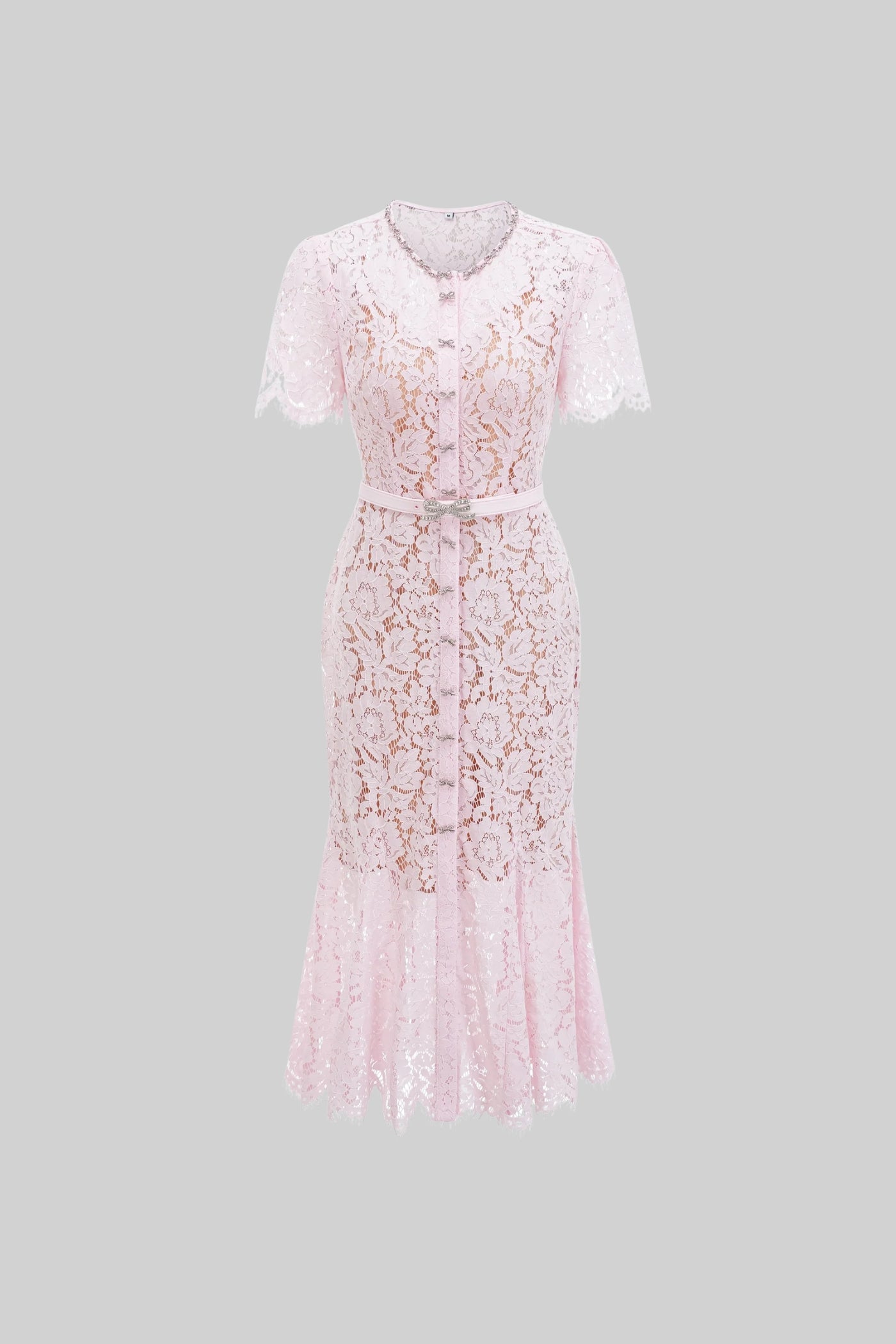 Elegant Floral Lace Fitted Dress with Button Detail and Scalloped Hem - Blush Pink